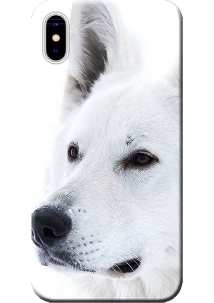 iPhone Xs Max Kılıf Beyaz Kurt Baskılı Esnek Tpu SILIKON5883