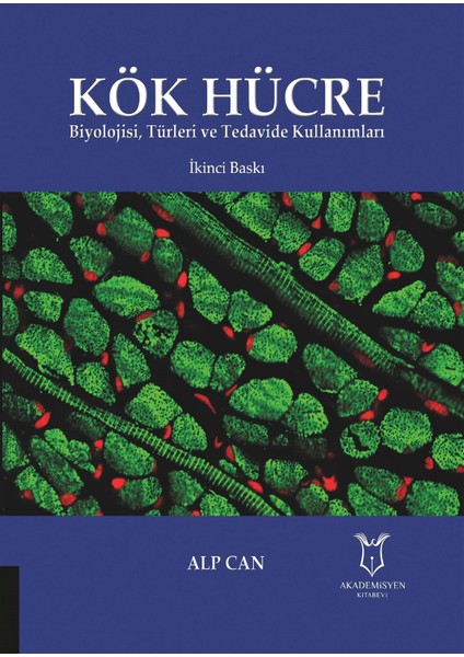 Kök Hücre - Alp Can