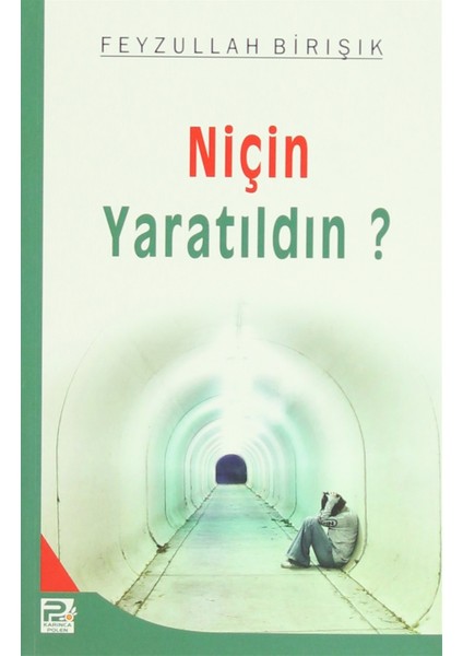 Niçin Yaratıldın? - Feyzullah Birışık
