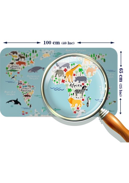 Eğitici Dünya Haritası Dünya Atlası Çocuk ve Bebek Odası Duvar Sticker 3771