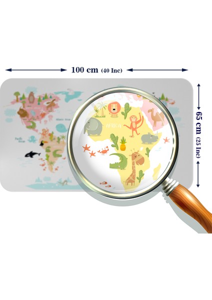 Eğitici Dünya Haritası Dünya Atlası Çocuk ve Bebek Kız Çocuğu Odası Duvar Sticker