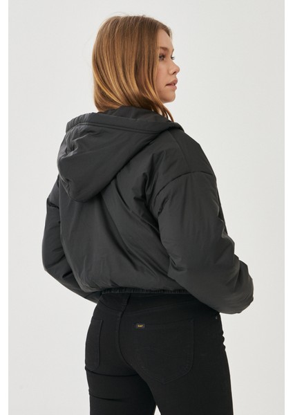 Kadın Regular Fit Normal Kesim Mont indirimleri