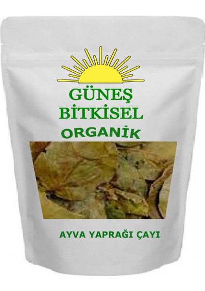 Ayva Yaprağı