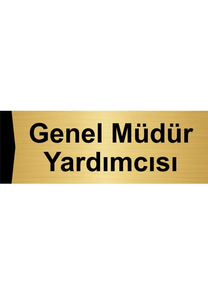 Genel Müdür Yardımcısı 10X20CM Altın Renk Metal Yönlendirme Levhası