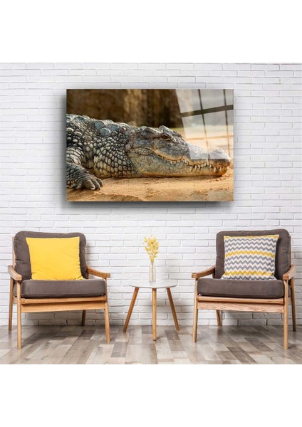 Timsah Cam Tablo fiyatları