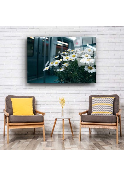 Papatya Cam Tablo fiyatları