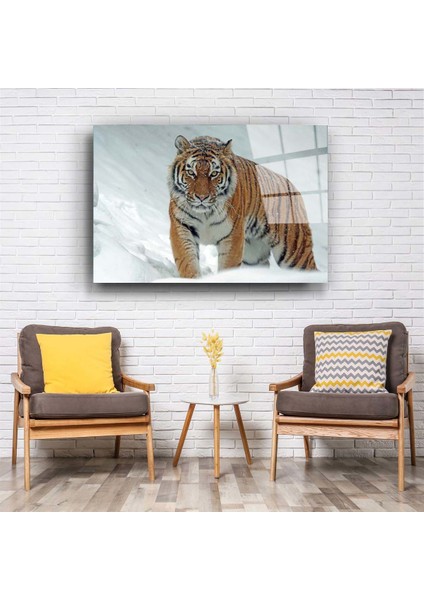 Kaplan 2 Cam Tablo fiyatları