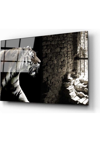 Kafeste Kaplan Cam Tablo