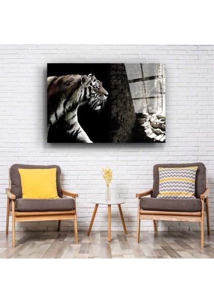 Kafeste Kaplan Cam Tablo fiyatları