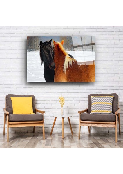 At 3 Cam Tablo fiyatları