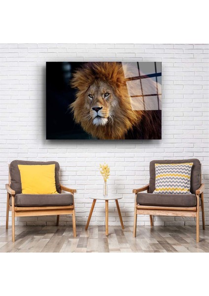 Aslan 8 Cam Tablo fiyatları