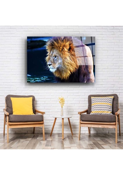 Aslan 9 Cam Tablo fiyatları