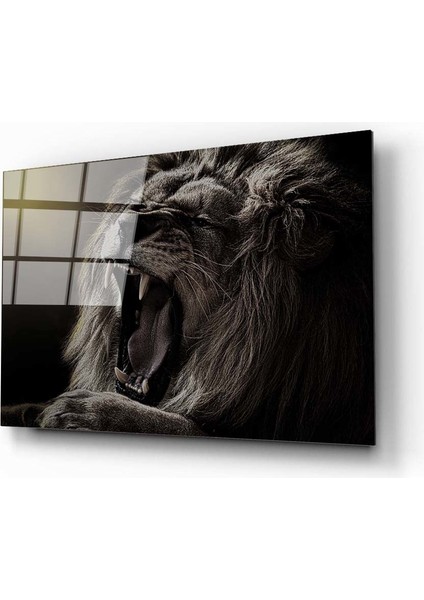 Aslan 11 Cam Tablo