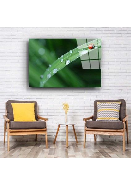 Uğur Böceği Cam Tablo fiyatları