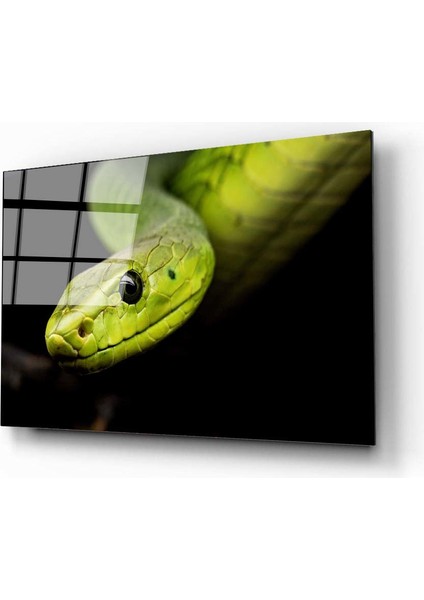 Yılan Cam Tablo