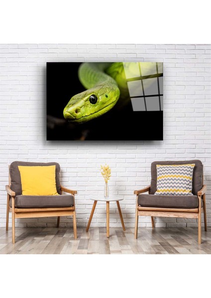 Yılan Cam Tablo fiyatları