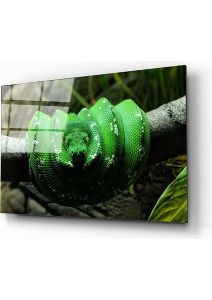 Yılan 2 Cam Tablo