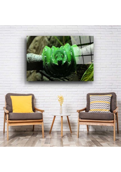 Yılan 2 Cam Tablo fiyatları