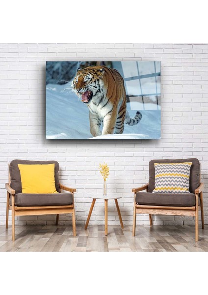 Kaplan Cam Tablo fiyatları