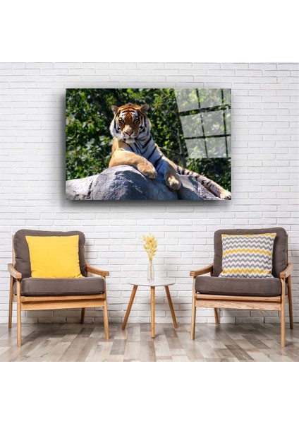 Kaplan 3 Cam Tablo fiyatları