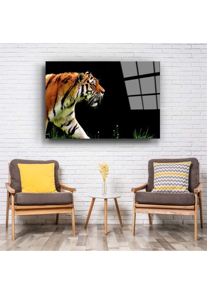 Kaplan 4 Cam Tablo fiyatları