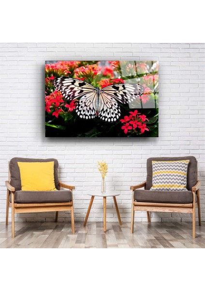 Kelebek Cam Tablo fiyatları