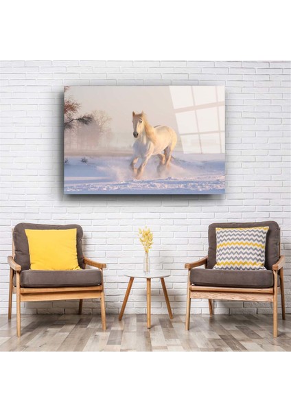 At 6 Cam Tablo fiyatları