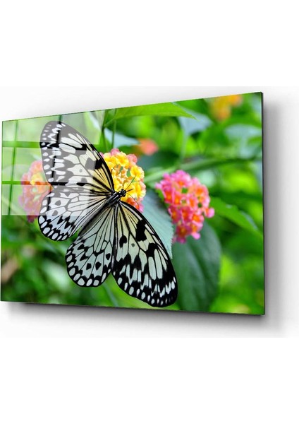 Kelebek 2 Cam Tablo