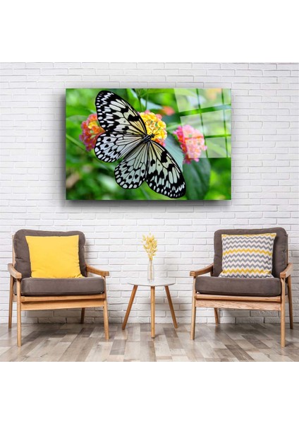 Kelebek 2 Cam Tablo fiyatları