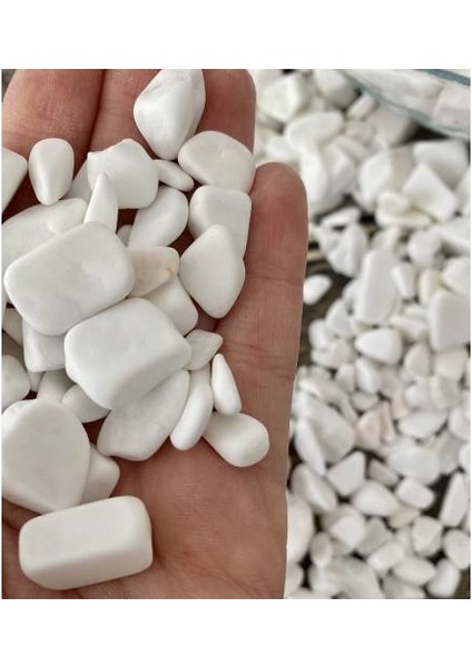 Beyaz Dolomit Taş 3kg 3-6cm Doğal Renkli Peyzaj Taşı Dekoratif Akvaryum Bahçe Süs Taşları