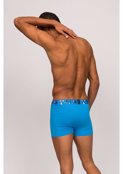 Animal Erkek Boxer 3 Adet