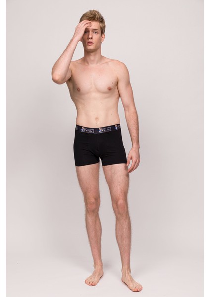 Teddy Bear Erkek Boxer 3 Adet modelleri