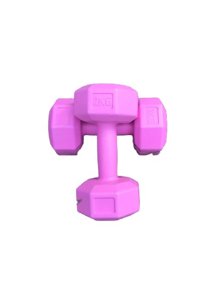 2 kg Dambıl Seti Ağırlık Seti 2 kg 2 Adet ( Pembe )