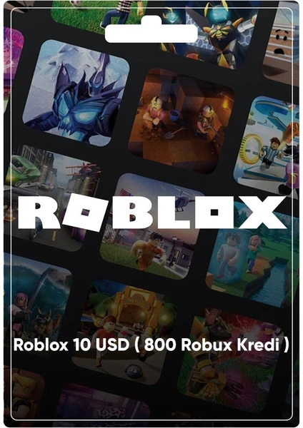 800 Robux 10 USD