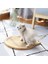 Kedi Tırmalama Tahtası 2