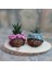 Bandanalı Çift Saksı Set 12 x 9 cm 1