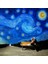 A Romantic Starry Night 2