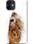 Apple iPhone 12 Kılıf Uyuyan Köpek Oyuncak Baskılı Esnek TPU Silikon 1