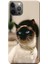 Apple iPhone 12 Pro Max Kılıf Kedi Resim Baskılı Esnek TPU Silikon 1