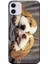 Apple iPhone 11 Kılıf Uyuyan Sevimli Köpekler Baskılı Esnek TPU Silikon 1