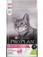 ® Delicate Kuzu Etli Kuru Kedi Maması 1.5 Kg 1