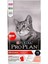 ® Original Somonlu Kuru Kedi Maması 3 Kg 1