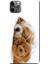 Apple iPhone 11 Pro Max Kılıf Uyuyan Köpek Oyuncak Baskılı Esnek TPU Silikon 1