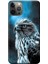 Apple iPhone 12 Pro Max Kılıf Mistik Şahin Baskılı Esnek TPU Silikon 1