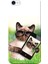Apple iPhone 8 Kılıf Cool Cat Telefon Baskılı Esnek TPU Silikon 1