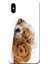 Apple iPhone XS Max Kılıf Uyuyan Köpek Oyuncak Baskılı Esnek TPU Silikon 1