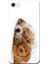 Apple iPhone 6/6S Kılıf Uyuyan Köpek Oyuncak Baskılı Esnek TPU Silikon 1