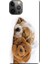 iPhone 12 Pro Kılıf Uyuyan Köpek Oyuncak Baskılı Esnek Tpu SILIKON1575 1