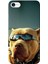 Apple iPhone 6/6S Kılıf Gözlüklü Pitbull Baskılı Esnek TPU Silikon 1