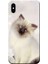 Apple iPhone X Kılıf Kedi Baskılı Esnek TPU Silikon 1
